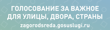 Голосуем за комфортную среду родного города
